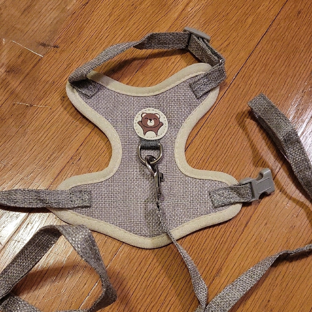 Light Gray Cat Harness and Leash Set - Picture 3 of 5